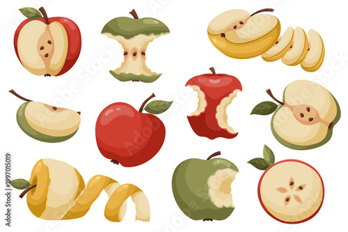Juicy and fresh apple collection. Fresh summer fruit illustration isolated on white background. Natural organic food. Perfect for food design, packaging, menu, healthy lifestyle themes.