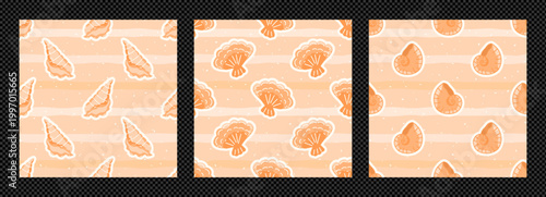Pattern set cute for shell seamless sea and seashell summer girly. Coastal gingham marine for pastel plaid beach and ocean vector background. Pattern nautical texture for shell design drawn.