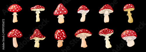 Mushroom red toadstool agaric with psychedelic amanita set and vector forest fly fungi for a poisonous illustration. Isolated flyagaric background or decorative design through fairytale pattern.