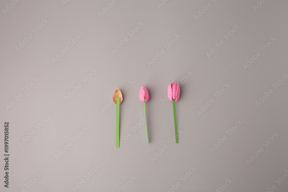 Fototapeta premium Pistachio shell tulips handmade craft process with hot glue gun on grey background. Creative recycling project for eco-friendly hobby, art education, and florist business marketing