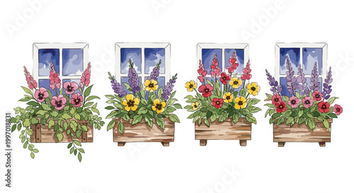 Charming watercolor illustration of window boxes overflowing with colorful spring flowers