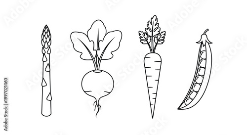 Collection of fresh vegetables including asparagus, radish, carrot, and peas