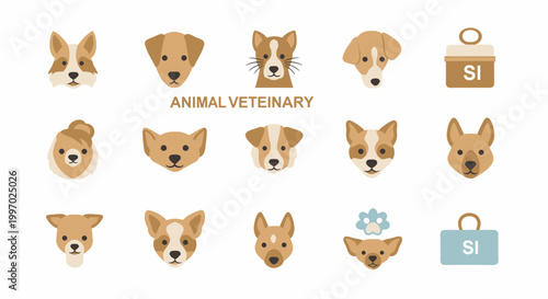 Corgi dog faces various expressions.