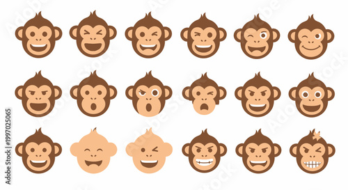 Monkey faces with different expressions.