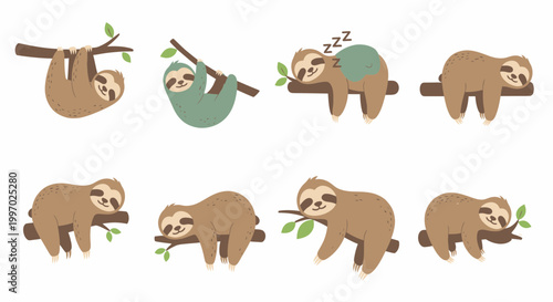 Cute Sloths Hanging from Trees.