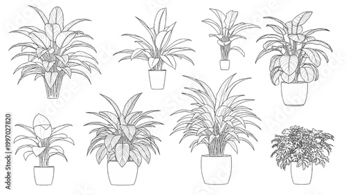 Bild auf Leinwand Various 2D AutoCAD designs of potted plants are shown indoors.