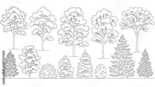 Various trees drawn in 2D AutoCAD including conifers and deciduous trees
