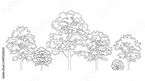 Foto 2D AutoCAD drawing of trees in a forest landscape with foliage and trunks