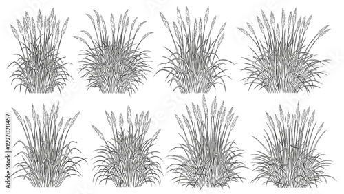 2D AutoCAD drawings of various Plants in Landscape designs
