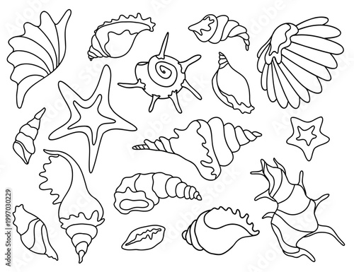 Sea Shells and Starfish Line Art Vector Set