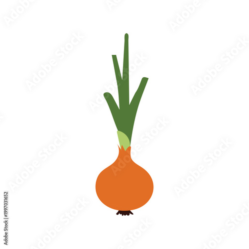 Onion with green sprouts illustration fresh bulb vegetable flat vector style