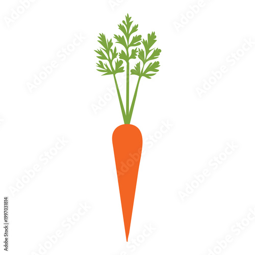 Fresh carrot with green leaves