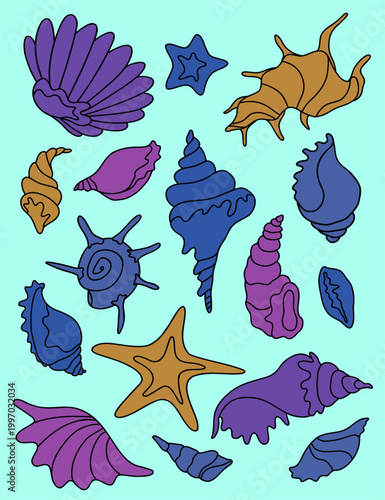 Sea Shells on Teal Minimalist Vector