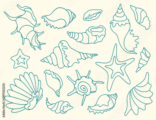Teal Outline Sea Shells Minimalist Vector