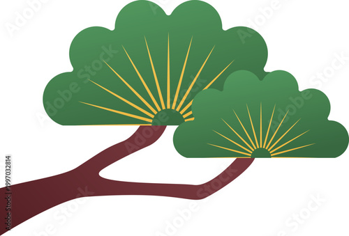 Japanese Pine Tree Branch