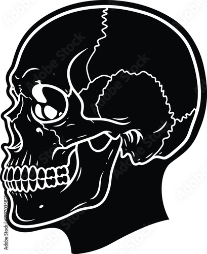 "Black and white human skull profile illustration with detailed jaw, teeth, eye socket, cranial sutures, anatomical accuracy, and artistic skeletal design"