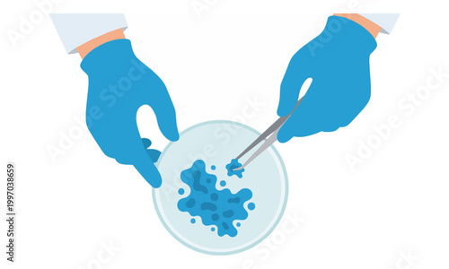 Scientist Hands with Tweezers Testing Sample in Petri Dish