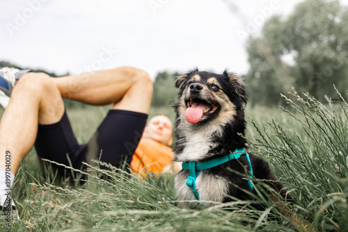 Bild auf Leinwand Happy mixed-breed dog sitting in the grass next to its owner resting in a park