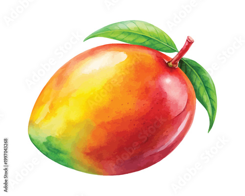 Hand-Painted Mango Fruit Watercolor, Juicy Tropical Food Clipart, Isolated Vector Illustration