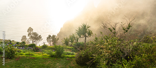 Sunlit coastal garden overlooking madeira cliffs and ocean mist | Zalany słońcem ogród przybrzeżny z widokiem na klify Madery i mgłę oceanu