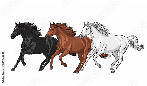 Dynamic Galloping Horses Vector Illustration with Black Brown and White Racing Horses