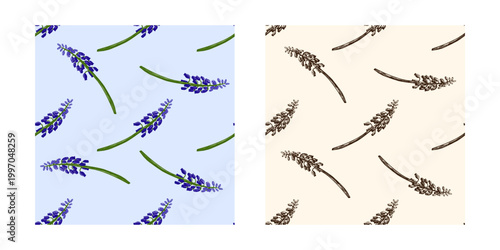Hand drawn vintage seamless pattern of muscari grape hyacinth set with color and monochrome botanical illustration