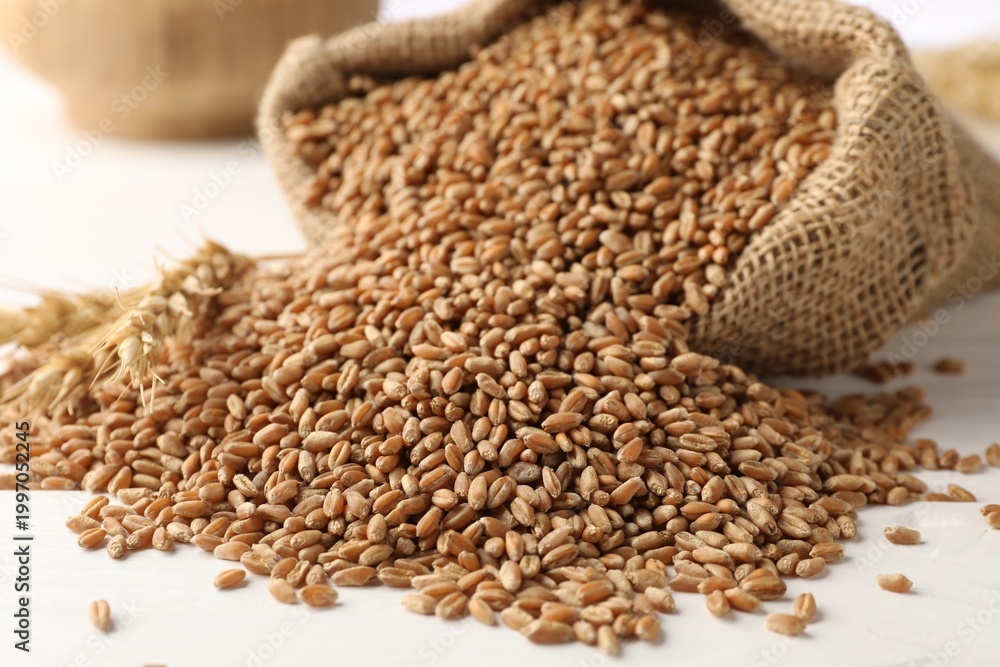 Obraz premium Overturned sack with wheat grains on white table, closeup