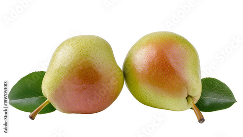 Ripe green and red pears with fresh green leaves
