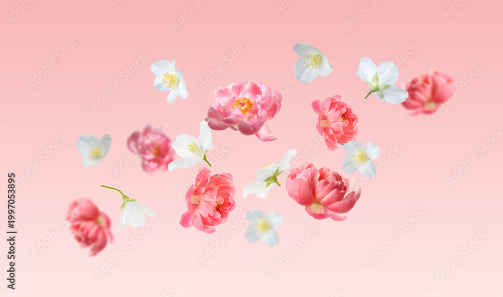 Fototapeta premium Tender flowers flying in air against pink gradient background