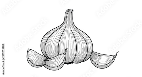 Traditional black and white engraving style illustration of a whole garlic bulb with three cloves resting at its base.