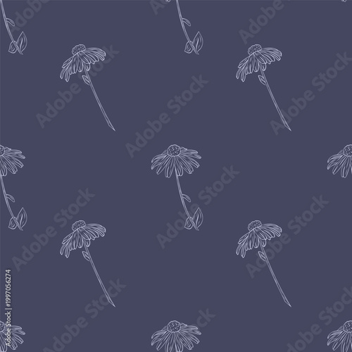 Daisy, Black-eyed Susan seamless pattern in detailed line art style. Repeating floral background with chamomile flowers isolated on white, perfect for textile design, packaging, wallpapers and prints