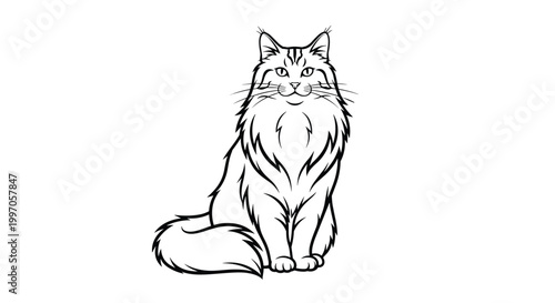 Detailed line art illustration of long haired fluffy cat sitting down shows feline grace and domestic pet companionship for coloring pages.