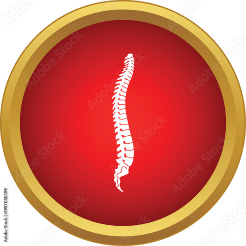 Human spine showing vertebrae within a red and gold circle