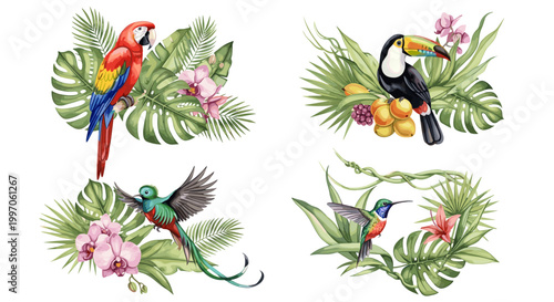 Vibrant tropical birds and lush foliage create a beautiful jungle scene