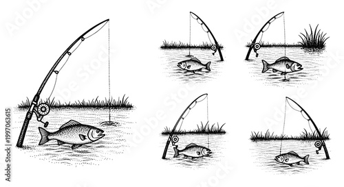 Fishing rods with caught fish in water, a collection of hand-drawn illustrations