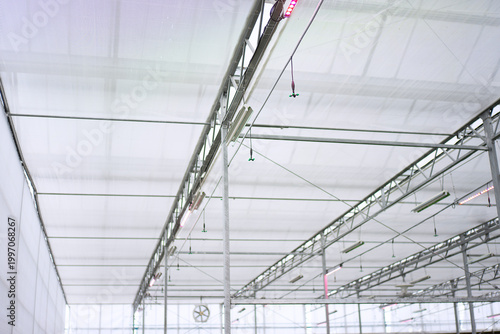 Strawberry at vegetable production greenhouse.