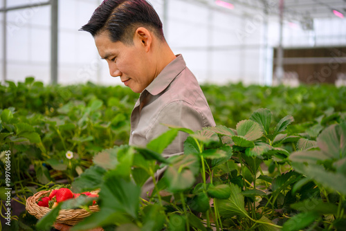 The Asian man travel at strawberry green house.