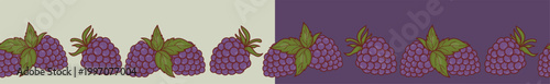 Seamless Border with Blackberries Berries and Leaves Set. Botanical Fruit Web Divider. Isolated Summer Berry Horizontal Ribbon on Light Green and Dark Purple Background. Vector Illustration