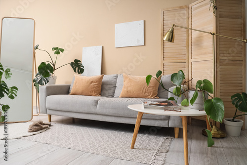 Table, sofa and houseplants...