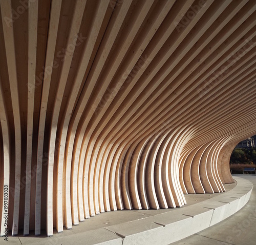 Curved wooden ribs create a rhythmic, structural canopy over a concrete base, showcasing modern architectural design and flowing natural textures.
