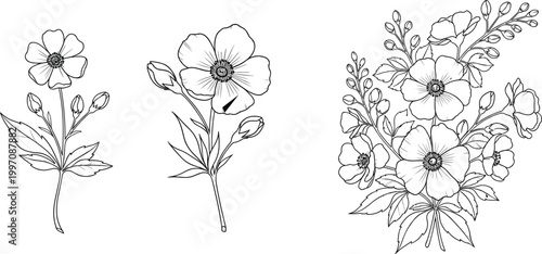Minimalist floral sketch set with delicate hand drawn flower stems botanical garden blossoms cad drawing flat vector illustration for elegant decor.