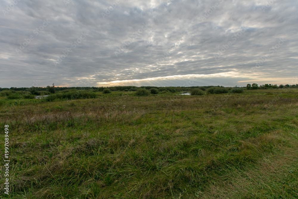 Fototapeta premium Cloudy sky above a tranquil field near water at sunset in a rural landscape