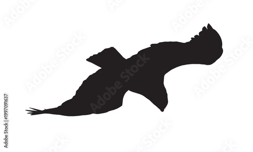 A professional vector illustration of a sharp-eyed short-toed snake eagle (Circaetus gallicus). 