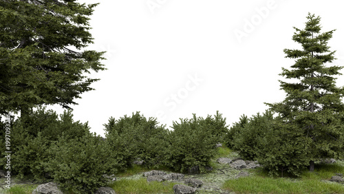 Foto Shrubs and trees are visible in a natural area with scattered rocks