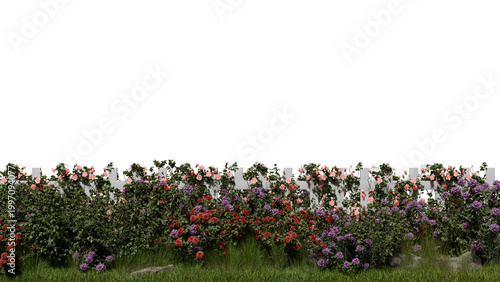 Flowers of various colors bloom along a white fence. Green grass covers the ground, adding life to the garden. scene shows a mix of bright colors under a clear sky. 3d render