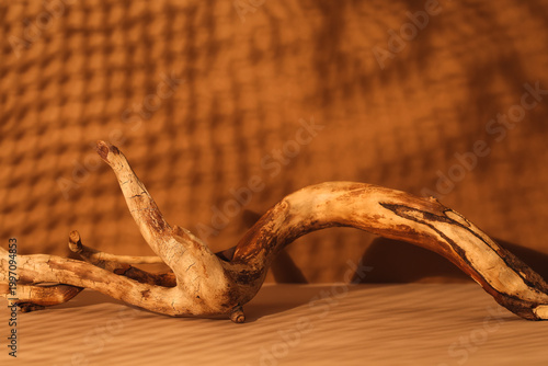 Dry tree branch on brown ba...