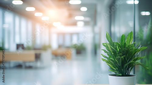 Blurred office interior, bright modern workspace, depth of field 