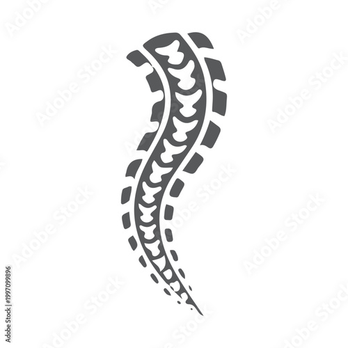 Dynamic Curving Spine Icon - Health and Wellness Graphic