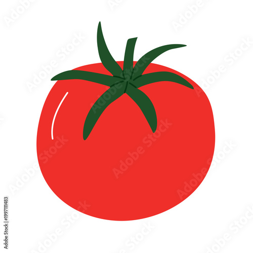 fresh ripe red tomato with green stem, organic vegetable, healthy food concept - vector illustration