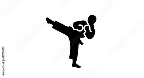 Martial arts silhouette of a person kicking.